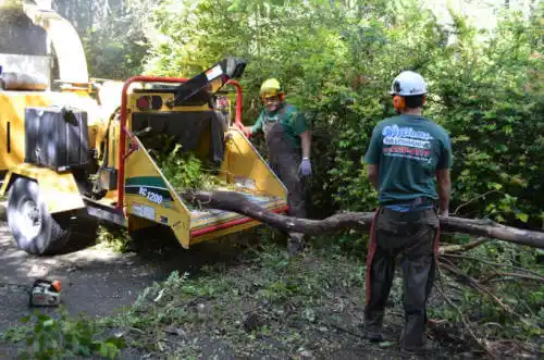 tree services Point Clear